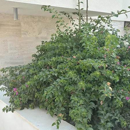 Regina Paloma With Swimming Pool *